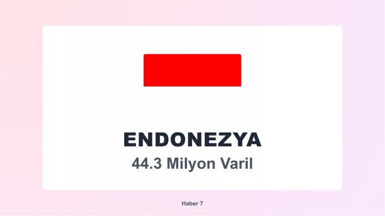 <p><span style="color:#B22222"><strong>22)  ENDONEZYA</strong></span></p>
