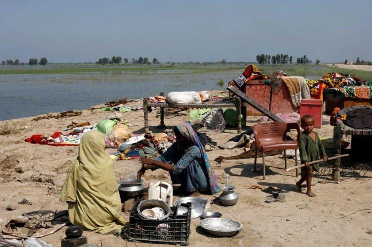 <p><span style="color:#B22222"><strong>Pakistan </strong></span></p>

<p> </p>

<p>8.000.000 (kişi)</p>
