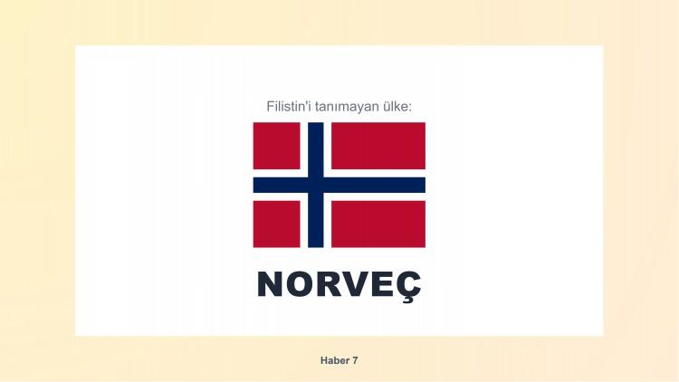 <p><span style="color:#B22222"><strong>14)  NORVEÇ</strong></span></p>
