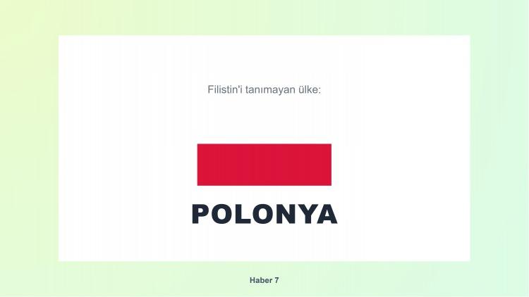 <p><span style="color:#B22222"><strong>13)  POLONYA</strong></span></p>
