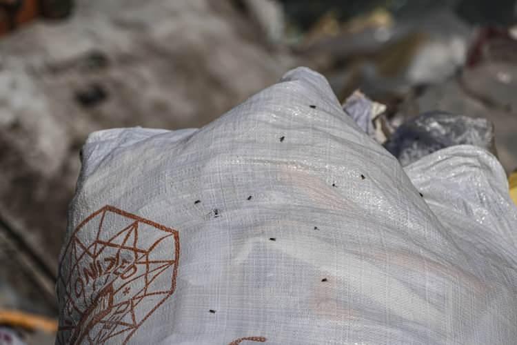 <p>İşte çöp dağlarından manzaralar...</p>
