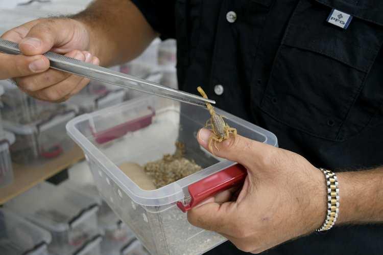 <p><span style="color:#A52A2A"><strong>5 HAYVANLA BAŞLADI</strong></span></p>

<p>Başlangıçta yalnızca 5 akreple çıktığı bu zorlu yolculuk, kısa sürede dev bir üretim serüvenine dönüştü.</p>
