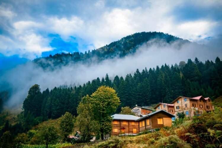 <p>Rize – %85.3</p>
