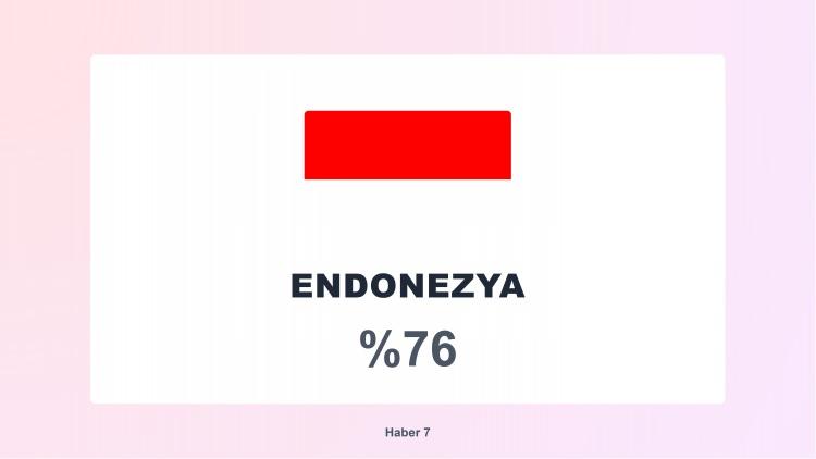 <p><span style="color:#B22222"><strong>2)&nbsp; ENDONEZYA</strong></span></p>
