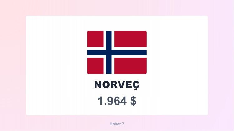 <p><span style="color:#B22222"><strong>12)  NORVEÇ</strong></span></p>
