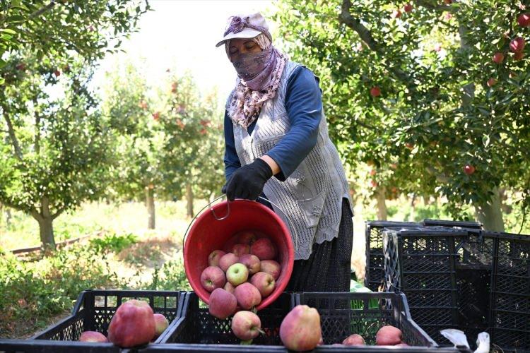 <p><strong>"Spring su uygulaması"</strong> ise bölgede son yıllarda en çok tercih edilen yöntemlerden biri haline geldi.</p>
