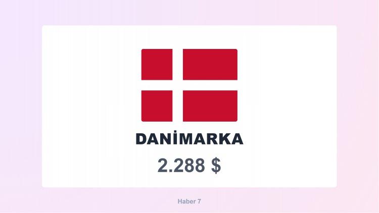 <p><span style="color:#B22222"><strong>8)  DANİMARKA</strong></span></p>
