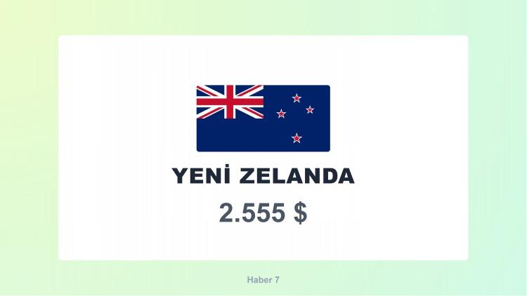 <p><span style="color:#B22222"><strong>4)  YENİ ZELANDA</strong></span></p>
