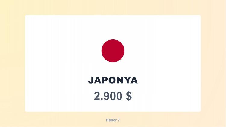 <p><span style="color:#B22222"><strong>2)  JAPONYA</strong></span></p>
