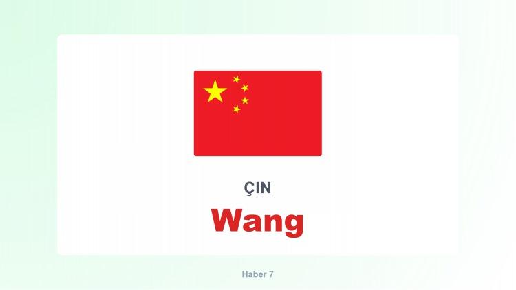 <p><span style="color:#B22222"><strong>WANG</strong></span></p>
