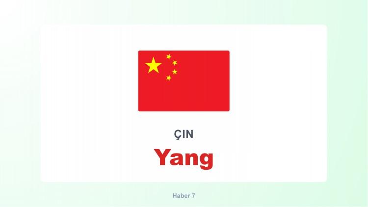 <p><span style="color:#B22222"><strong>YANG</strong></span></p>
