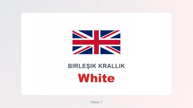 <p><span style="color:#B22222"><strong>WHİTE</strong></span></p>
