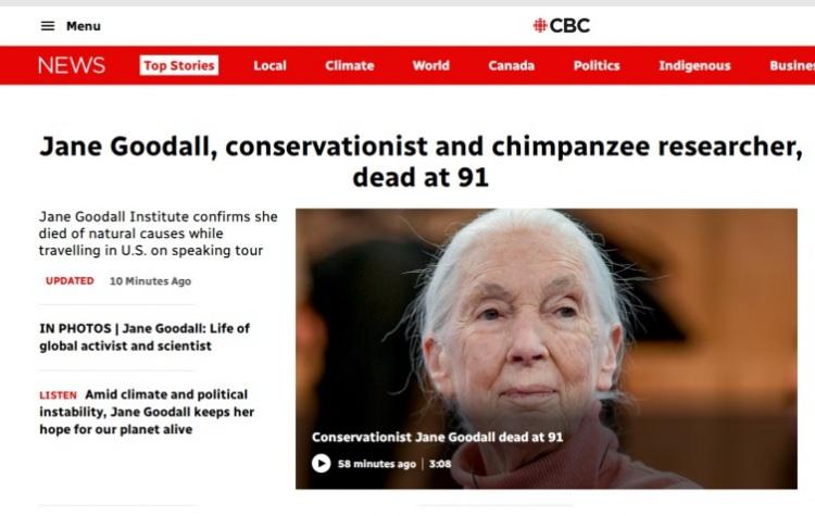 <p>Kanada medyası, Şempanze araştırmacısı Jane Goodall'ın ölümünü manşetine taşıdı.</p>

<p> </p>
