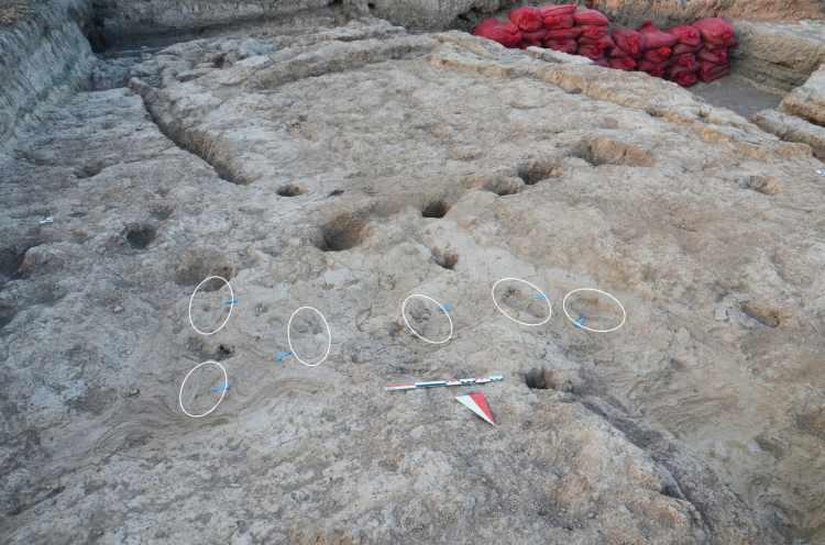 <p>Kültür ve Turizm Bakanı Mehmet Nuri Ersoy, Hatay'ın Reyhanlı ilçesi Karahüyük Mahallesi'nde yer alan Tell Kurdu Höyük'te yürütülen kazılarda milattan önce 5200 yılına uzanan tabaklarda 5 insan ayak izinin gün yüzüne çıkarıldığını açıkladı.</p>
