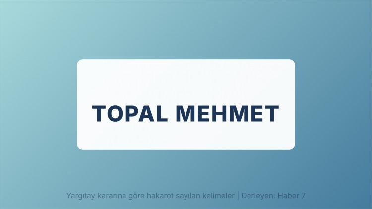 <p><span style="color:#B22222"><strong>TOPAL MEHMET</strong></span></p>
