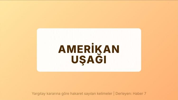 <p><span style="color:#B22222"><strong>AMERİKAN UŞAĞI</strong></span></p>
