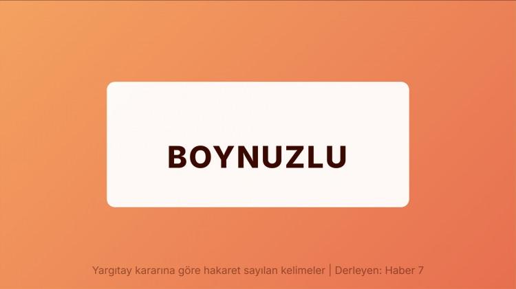 <p><span style="color:#B22222"><strong>BOYNUZLU</strong></span></p>
