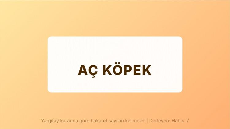 <p><span style="color:#B22222"><strong>AÇ KÖPEK</strong></span></p>
