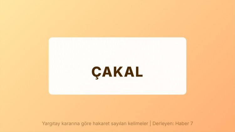 <p><span style="color:#B22222"><strong>ÇAKAL</strong></span></p>
