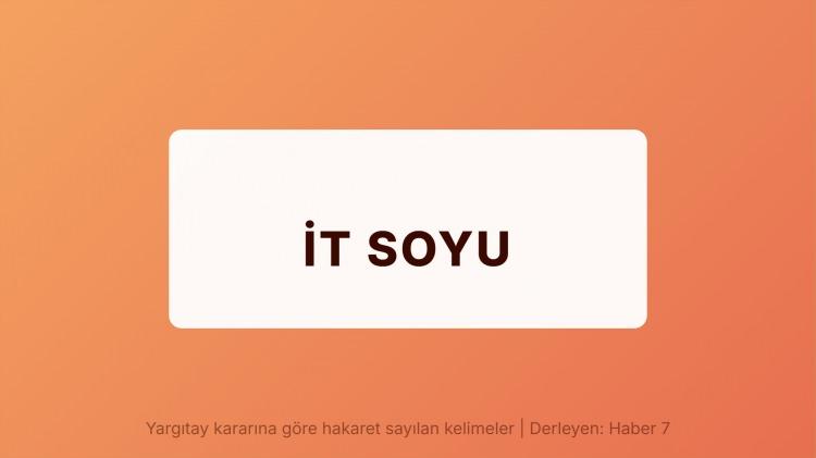 <p><span style="color:#B22222"><strong>İT SOYLU</strong></span></p>
