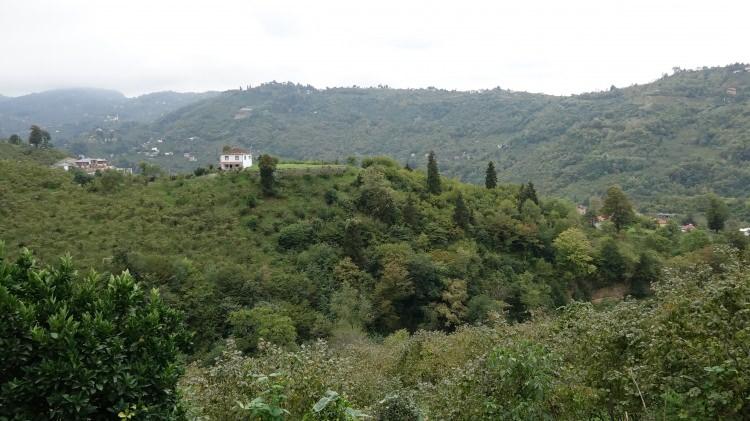 <p><strong>'ELİNİZLE TEMAS ETMENİZ YANLIŞTIR'</strong></p>
<p> </p>
<p>Çakıroğlu, kokarca istilasını yok ederken elle temas edilmemesi konusunda uyarılarda bulunarak, "Sağlık Bakanlığı'ndan yapılan açıklama, hassas ciltlere sahip insanların eliyle kokarcayı ezmeye çalıştığı zaman alerjik reaksiyon gösterebileceği konusunda vatandaşın duyarlı olması yönündedir. Elinizle değil de farklı yöntemlerle öldürmeniz gerekir. Bu konuda mutlaka birebir elinizle ezmeniz yanlıştır. Hassas cildiniz varsa reaksiyon gösterebilir. Kokusundan rahatsız olabilirsiniz. Kokarca, ağız yapısı olarak ısırıcı bir yapıya sahip olmadığı için farklı bir etki göstermez" dedi.</p>