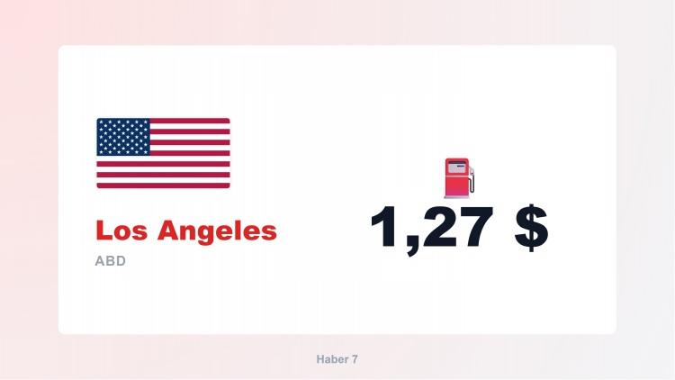<p><span style="color:#B22222"><strong>35)  LOS ANGELES</strong></span></p>
