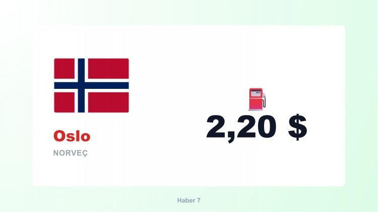 <p><span style="color:#B22222"><strong>7)  OSLO</strong></span></p>
