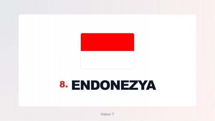 <p><span style="color:#B22222"><strong>ENDONEZYA</strong></span></p>
