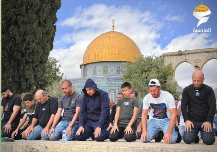 <p>Geçtiğimiz günlerde Hamas ile ateşkes masasına oturan İsrail'in Gazze'de ateşkesi kabul etmesi sonrası, Hamas'tan da kritik bir açıklama geldi. </p>
