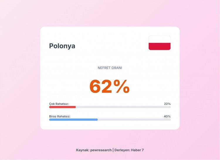 <p><span style="color:#B22222"><strong>12)  POLONYA</strong></span></p>
