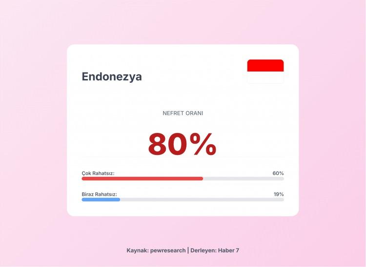 <p><span style="color:#B22222"><strong>2)  ENDONEZYA</strong></span></p>
