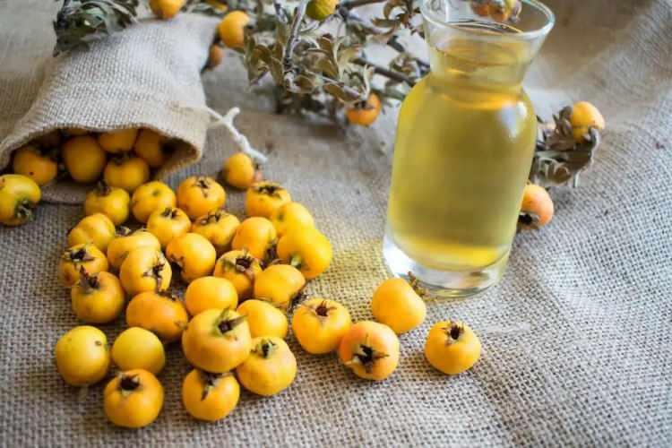 <p><strong>İçerdiği flavanoid ve aminoasitler sayesinde kalp ve damar hastalıklarına karşı vücudu koruyan meyve, sinir sistemi ve bağışıklık sistemi için de faydalı etkilere sahip.</strong></p>
