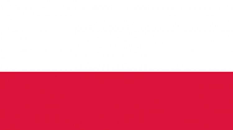 <p>20. Polonya: $980 Milyar</p>
