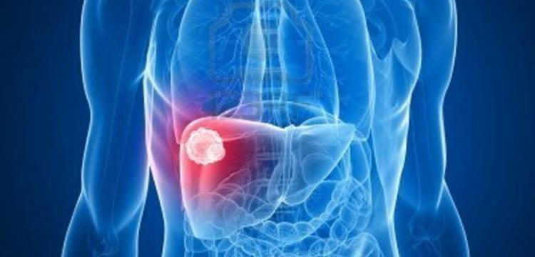 <p><strong>Beklenen organ</strong>, Yılmaz’ın hastaneye yatışından altı gün sonra <strong>beyin ölümü gerçekleşen bir bağışçıdan</strong> alındı. Yaklaşık <strong>bin kilometre mesafeden gece saatlerinde uçakla getirilen karaciğer</strong>, Kübra'ya nakledildi ve <strong>başarılı geçen bu operasyonla Kübra, yeniden yaşama tutundu.</strong></p>