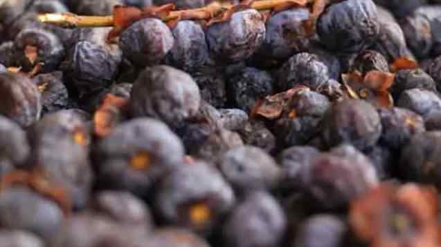 <p><span style="color:rgb(165, 42, 42)"><strong>KİLOSU 300 TL'DEN SATILIYOR</strong></span></p>

<p>Kilosu 300 liradan satışa sunulan üvez, şifa arayanlar tarafından yoğun ilgi görüyor.</p>
