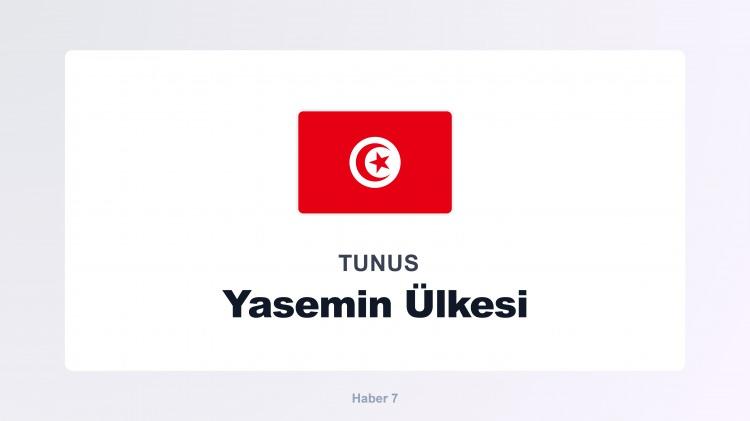 <p><span style="color:#B22222"><strong>TUNUS</strong></span></p>
