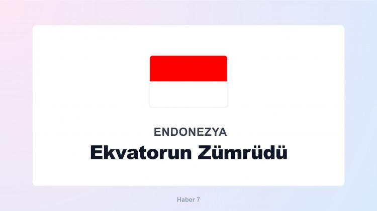 <p><span style="color:#B22222"><strong>ENDONEZYA</strong></span></p>
