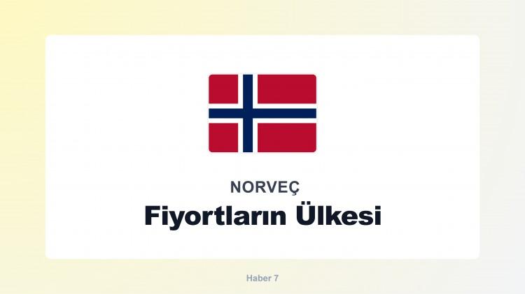 <p><span style="color:#B22222"><strong>NORVE&Ccedil;</strong></span></p>
