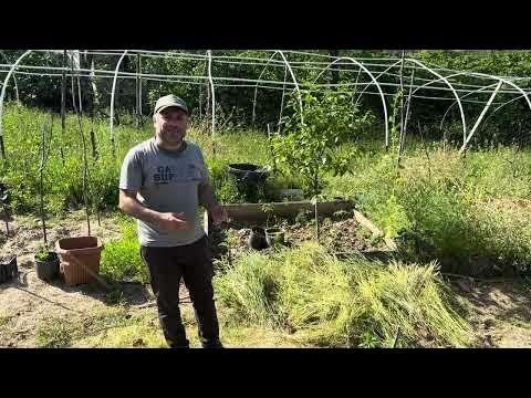 <p><span style="color:#800080"><strong><em>"T&uuml;rkiye'nin bence her mahallesine ulaşmıştır. Bunların haricinde toplumsal projeler de y&uuml;r&uuml;t&uuml;yorum. &Ccedil;ocuk esirgeme kurumları ve okullara t&uuml;m maliyetlerini kargo dahil kendim karşılayarak ata tohumları ulaştırıyorum."</em></strong></span></p>
