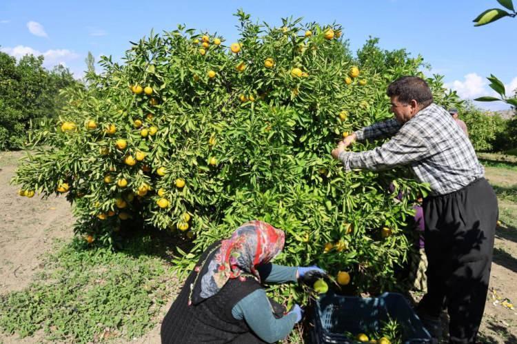 <p><strong>Don vurduğu için işsiz kalırız diye korktuk ama Rabbim rızkımızı verdi"</strong> diye konuştu.</p>