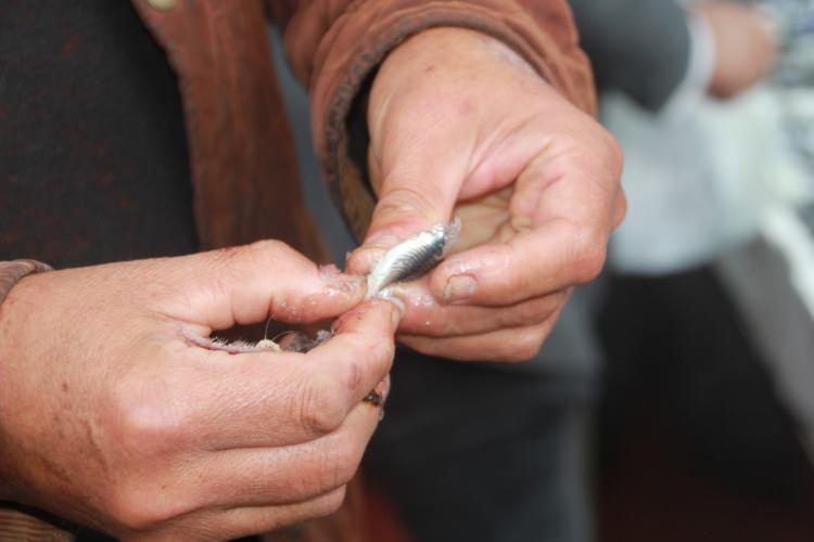 <p>Hamsinin ucuzlamasıyla tezgahlar önünde uzun kuyruklar oluştu. Vatandaşlar, hamsinin tam mevsimi olduğunu belirterek bol bol tüketilmesi gerektiğini söyledi.</p>