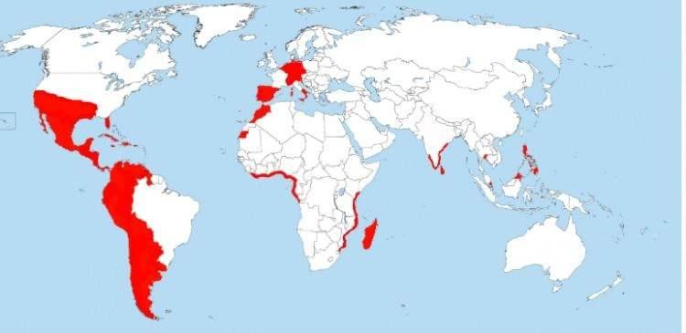 <p><span style="color:inherit"><strong>4)  İSPANYA İMPARATORLUĞU</strong></span></p>

<p> </p>

