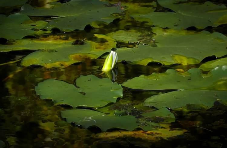 <p><span style="color:#0000CD"><em><strong>İşte, o kareler...</strong></em></span></p>
