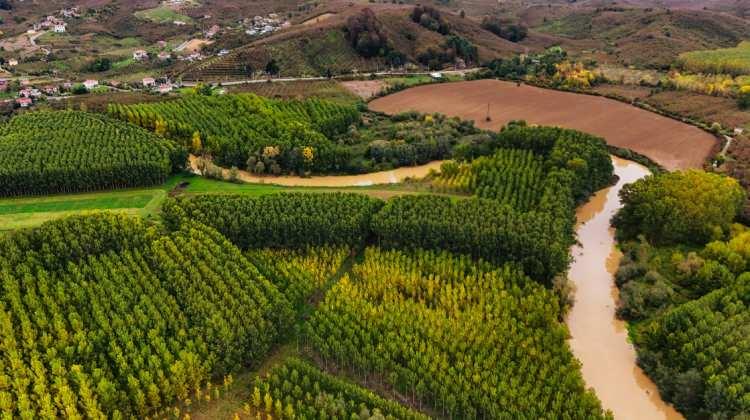 <p><strong>Renk cümbüşüne bürünen ağaçlar, su yüzeyine düşen yapraklarla birlikte göz kamaştıran longoz, ziyaretçilere sonbahar manzaraları sunuyor.</strong></p>
