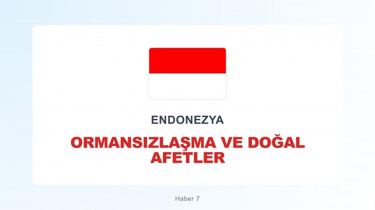 <p><span style="color:#B22222"><strong>ENDONEZYA</strong></span></p>
