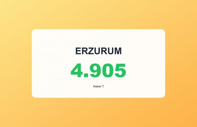 <p><span style="color:#B22222"><strong>ERZURUM</strong></span></p>
