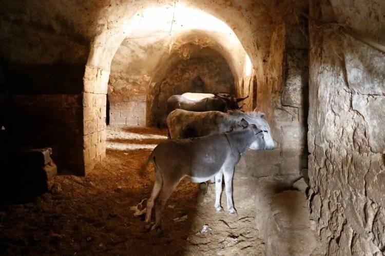 <p>Türkiye'nin en önemli turistik bölgelerinden Mardin'in emektar eşekleri, emekli olacak. Kentte temizlikte yeni döneme geçiliyor. </p>
