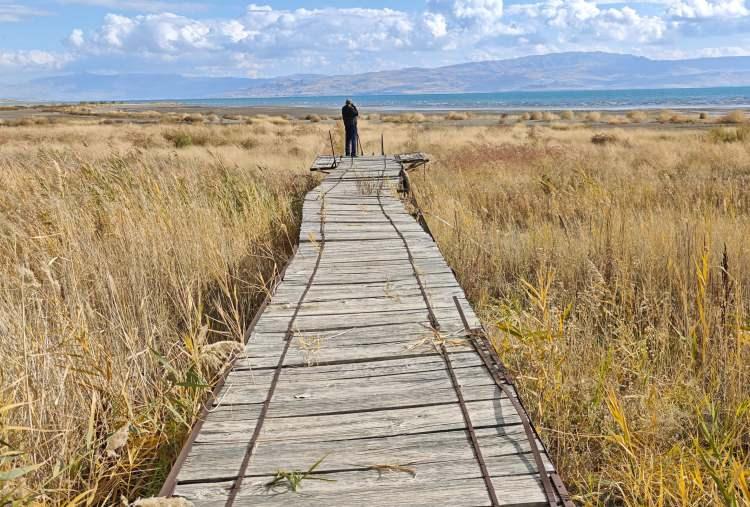 <p>Van Gölü'nde çekilmenin en fazla olduğu yerlerden biri de Erciş kıyıları oldu.</p>
