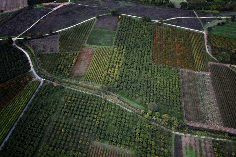 <p><span style="color:#A52A2A"><strong>MEYVE TUTUMU OLMADI</strong></span></p>

<p> </p>

<p>Geyve ve Pamukova’daki birçok üretici, ağaçların çiçek döneminde yaşanan soğuk hava sebebiyle meyve tutumunun olmadığını belirtti. </p>
