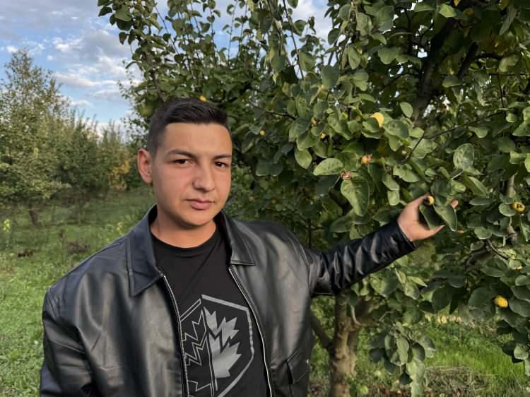 <p><span style="color:#A52A2A"><strong>"2-3 KASA VERİM ÇIKTI"</strong></span></p>

<p> </p>

<p>Ayva ağaçlarında ürün olduğunu ama ürünleri ufak olduğunu belirten çiftçi Umut Cepheci ise, <strong>"Ayva ağaçlarında yonca hiç yok denecek kadar az var ve hırsızlıklarla uğraşıyoruz. Rekolte yüzde sıfır verim bu sene hiç yok. Komşumuzda 10 dönümlük ayva bahçesi var, buradan 50-60 ton verim beklerken 2-3 kasa verim çıktı."</strong> diye konuştu.</p>
